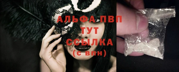 сатива Кукмор