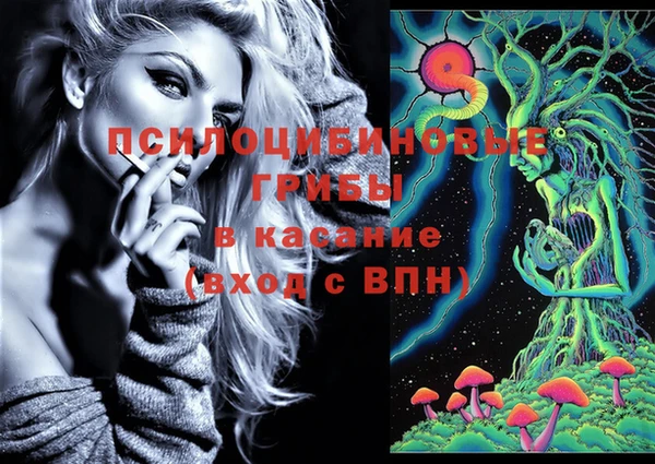 дживик Кулебаки