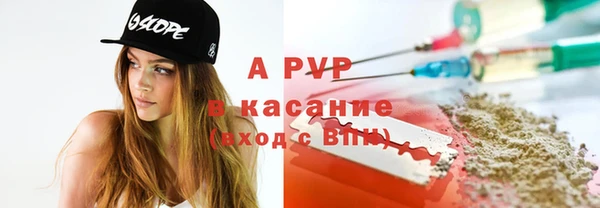 сатива Кукмор