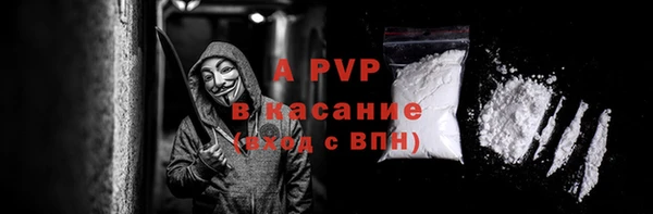 сатива Кукмор