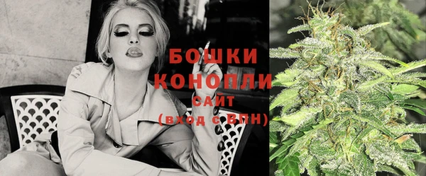сатива Кукмор