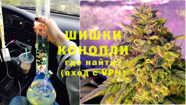 сатива Кукмор