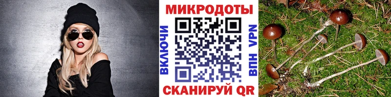 Галлюциногенные грибы прущие грибы  Семёнов 