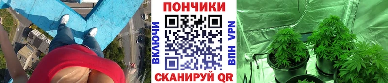 Шишки марихуана ГИДРОПОН  сколько стоит  Семёнов 